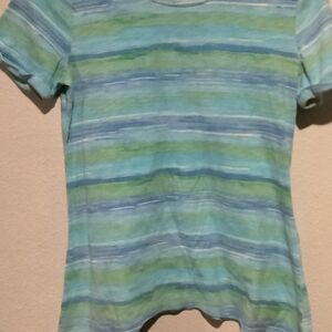 Basic Editions Blue and Green Tee